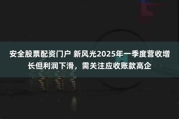 安全股票配资门户 新风光2025年一季度营收增长但利润下滑，需关注应收账款高企