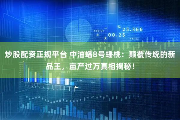 炒股配资正规平台 中油蟠8号蟠桃：颠覆传统的新品王，亩产过万真相揭秘！