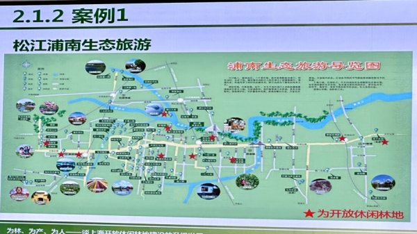 股票配资开户平台 如何推动上海林业高质量发展？这场“头脑风暴”给出了许多“干货”
